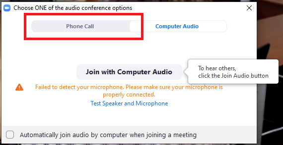 Zoom phone call screenshot